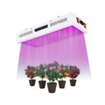 0006529_1200-watt-full-spectrum-led-grow-light