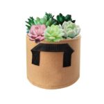 0006877_1-gallon3-gallon5-gallon-fabric-pot