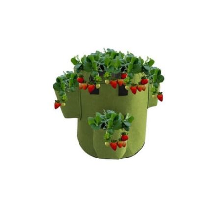 0006894_5-gallon10-gallon-strawberry-fabric-grow-bag_510