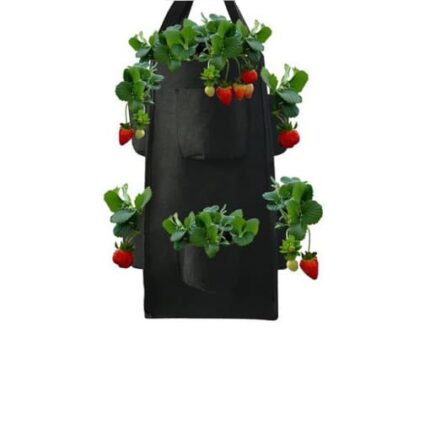 0006918_square-fabric-grow-pots-for-strawberry_510