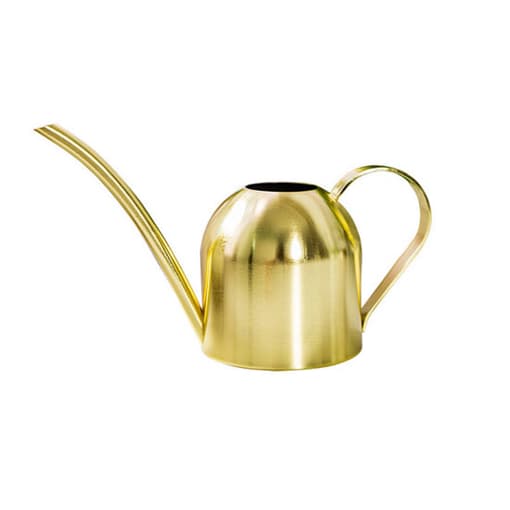 0007002_stainless-steel-watering-can-coppergold-color_510 0007002_stainless-steel-watering-can-coppergold-color_510